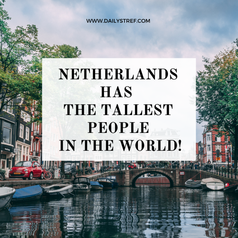 Netherlands 1