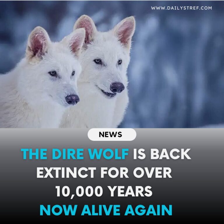 Headline